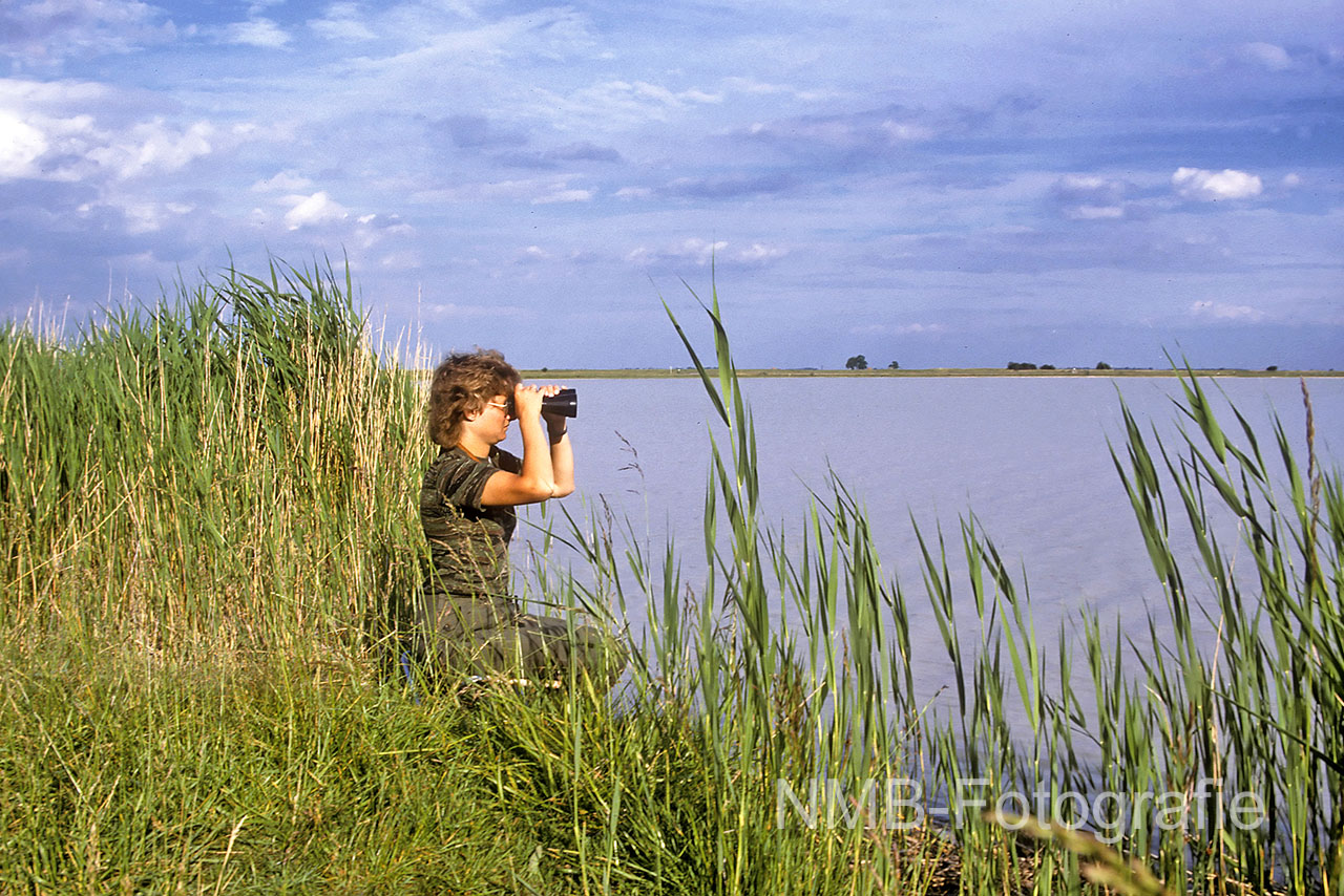 NMB-Fotografie