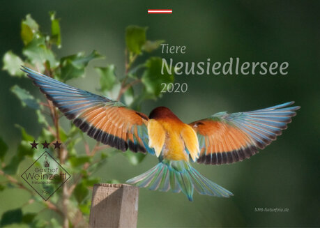 Kalender Tiere am Neusiedlersee