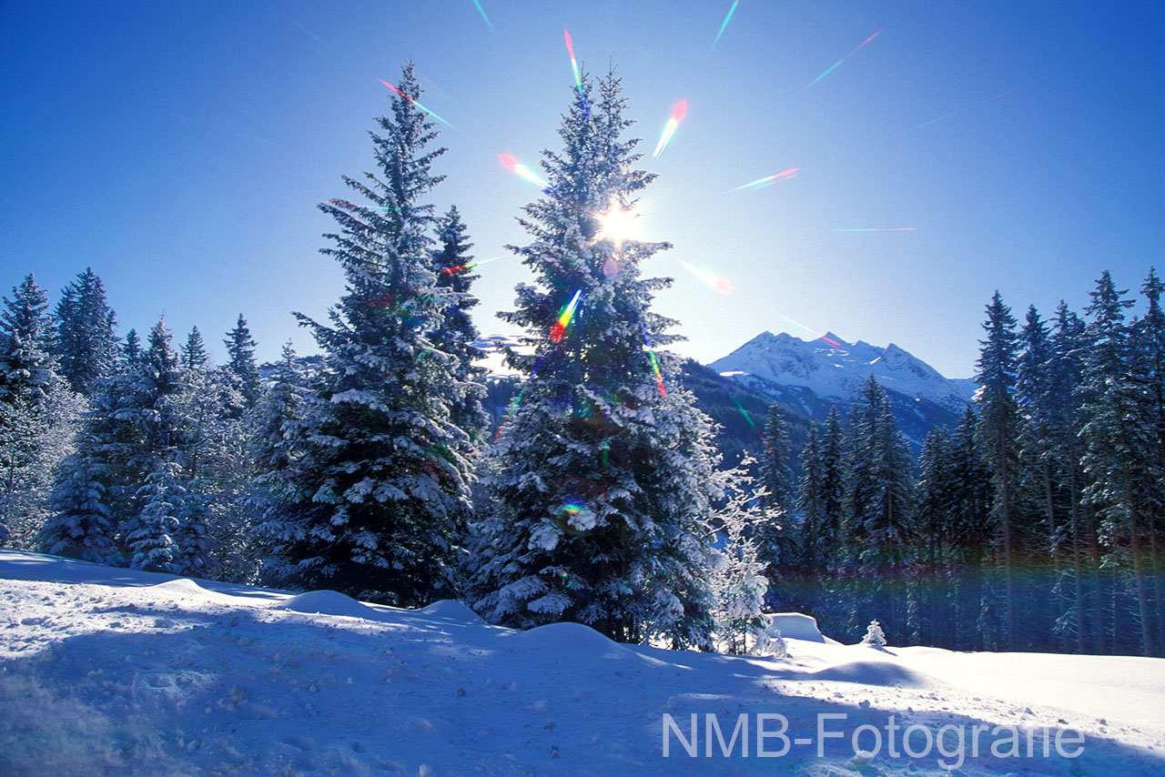 Naturfotografie im Winter