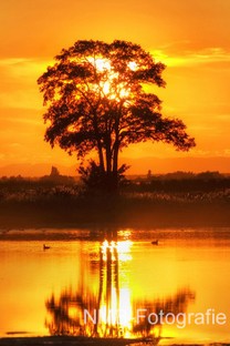 NMB Naturfotografie