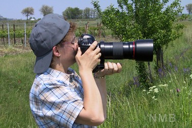 NMB Naturfotografie