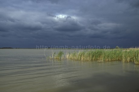 Neusiedler See