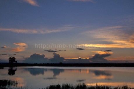 Neusiedler See