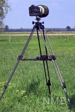 NMB Naturfotografie