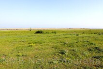 Frühling am Neusiedlersee