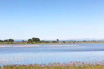 Frühling am Neusiedlersee