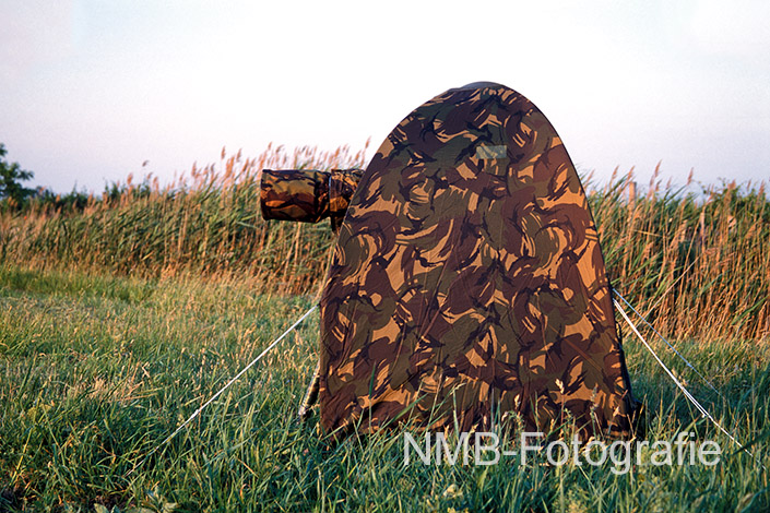 NMB Naturfotografie NMB-Naturfotografie