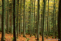 Landschaft Fotografie