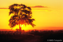 Landschaft Fotografie