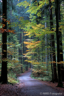 Landschaft Fotografie