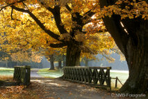 Landschaft Fotografie