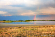 Landschaft Fotografie