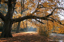 Landschaft Fotografie