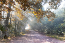 Landschaft Fotografie