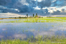 Landschaft Fotografie