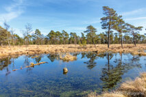 Landschaft Fotografie