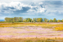 Landschaft Fotografie