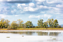 Landschaft Fotografie