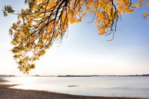 Landschaft Fotografie