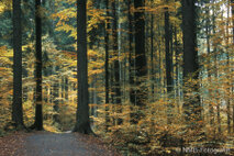 Landschaft Fotografie