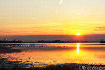 Landschaft Fotografie
