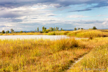 Landschaft Fotografie