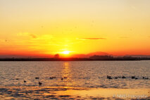 Landschaft Fotografie