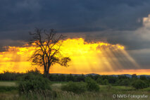 Landschaft Fotografie