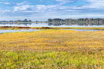 Foto Neusiedlersee