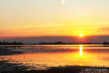 Foto Neusiedlersee