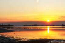 Foto Neusiedlersee