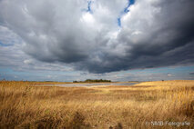 Foto Neusiedlersee