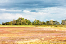 Foto Neusiedlersee