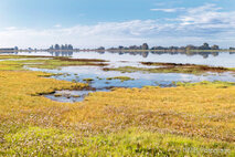 Foto Neusiedlersee