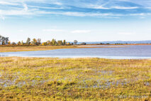 Foto Neusiedlersee