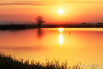 Foto Neusiedlersee