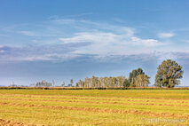 Foto Neusiedlersee