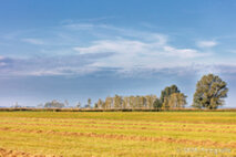 Foto Neusiedlersee