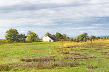 Foto Neusiedlersee