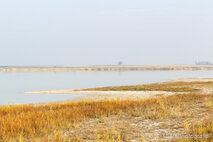 Foto Neusiedlersee