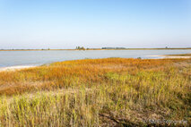 Foto Neusiedlersee