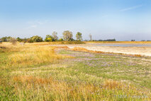 Foto Neusiedlersee