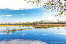 Foto Neusiedlersee
