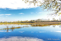 Foto Neusiedlersee