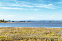 Foto Neusiedlersee