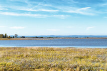 Foto Neusiedlersee