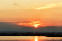 Foto Neusiedlersee