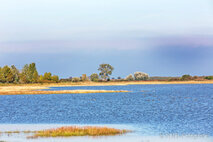 Foto Neusiedlersee