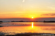 Foto Neusiedlersee