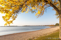 Foto Neusiedlersee